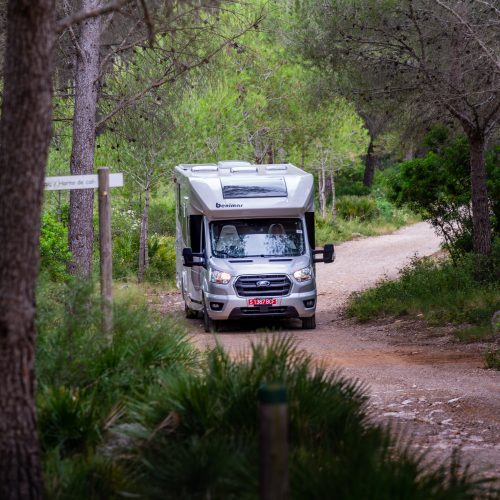 BENIMAR TESSORO 468