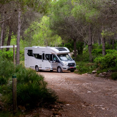 BENIMAR TESSORO 468