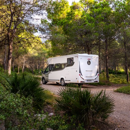 BENIMAR TESSORO 468