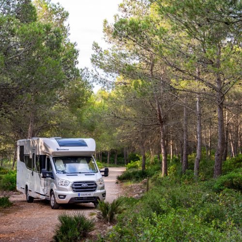 BENIMAR TESSORO 468
